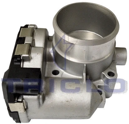 Throttle Body (382689)