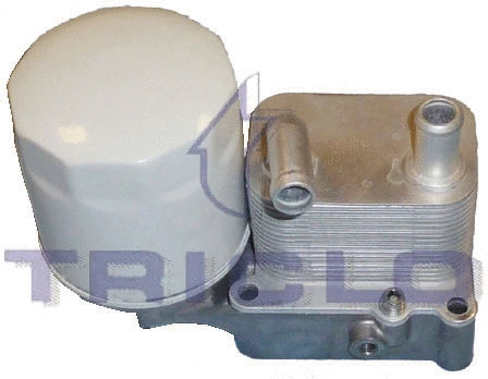 Oil Cooler, engine oil (418944)