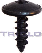 Screw (161789)