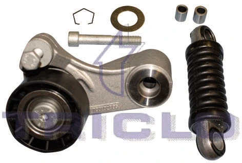 Belt Tensioner, V-ribbed belt (425217)