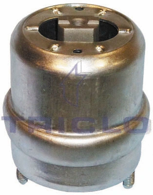 Mounting, engine (362302)