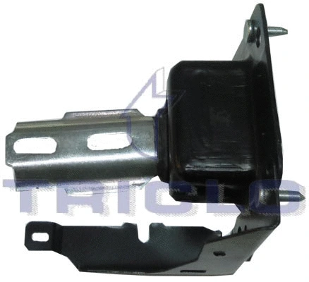 Mounting, engine (361631)