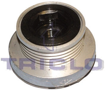 Belt Pulley, alternator (425519)