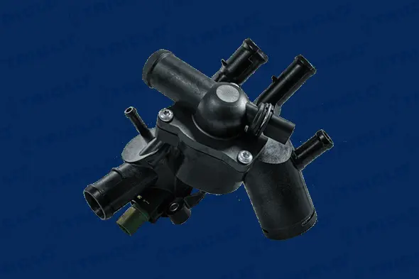 Thermostat, coolant (463100)