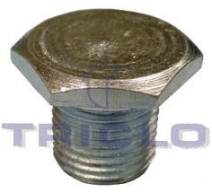 Screw Plug, oil sump (321011)
