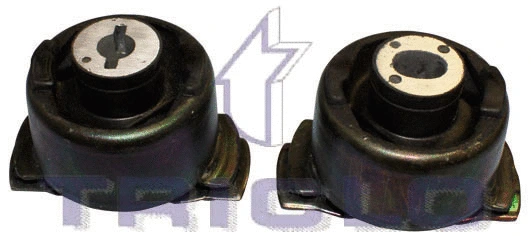 Bushing, axle beam (785329)