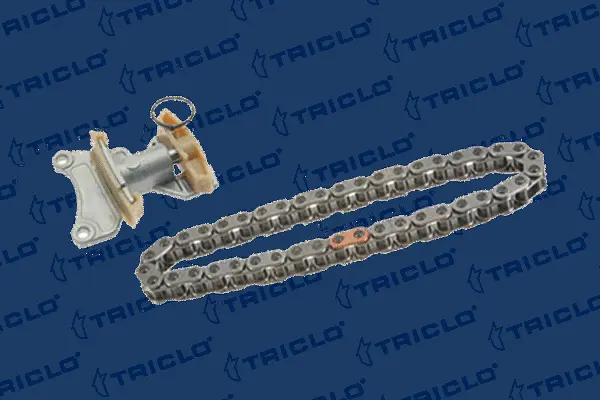Timing Chain Kit (422197)
