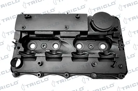 Cylinder Head Cover (390385)