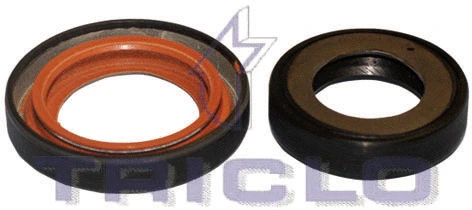 Shaft Seal, manual transmission (671671)