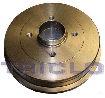 Brake Drum (845013)