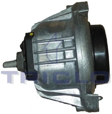 Mounting, engine (362509)
