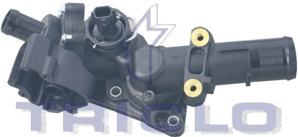 Thermostat, coolant (465061)
