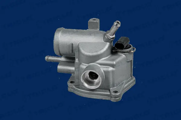 Thermostat, coolant (463301)