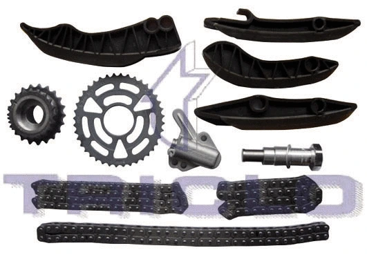 Guide, timing chain (422165)