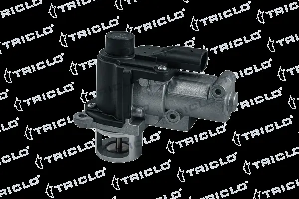 EGR Valve (343305)