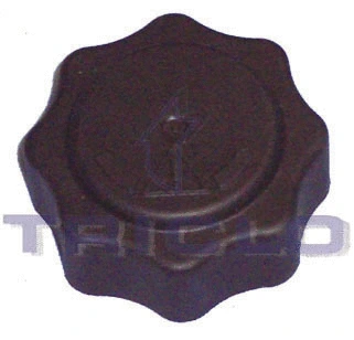 Cap, coolant tank (313339)