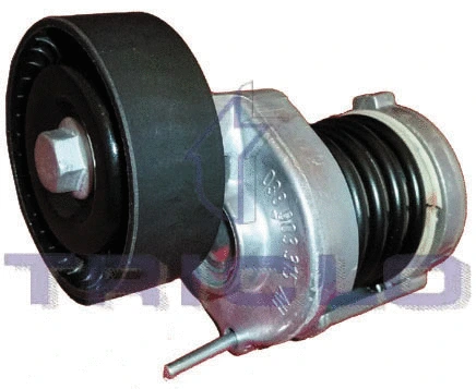 Belt Tensioner, V-ribbed belt (423999)