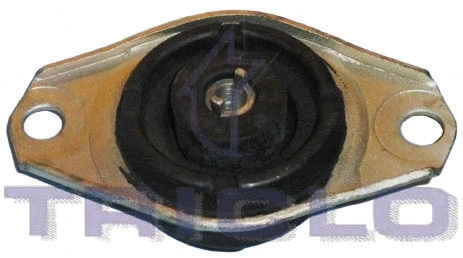 Mounting, engine (364611)