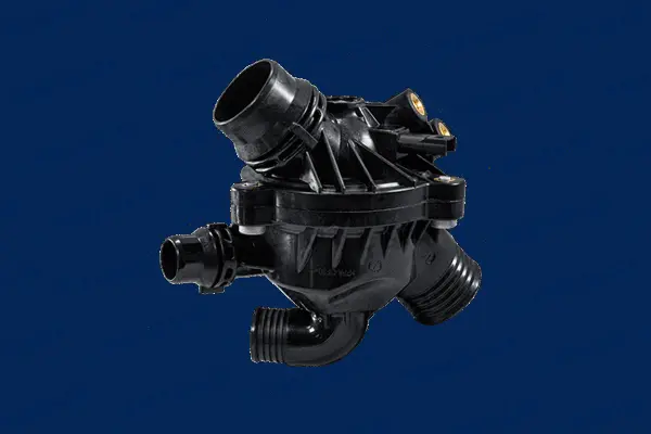 Thermostat, coolant (463404)