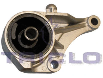 Mounting, engine (368660)