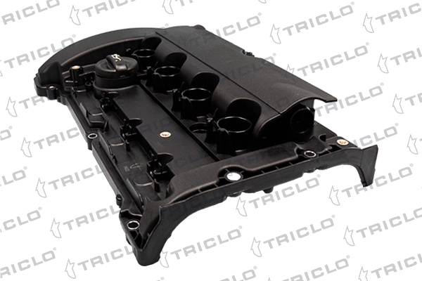 Cylinder Head Cover (390244)
