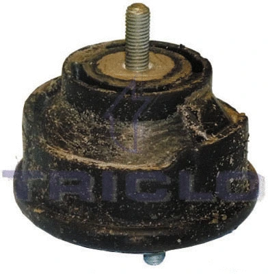 Mounting, engine (363155)