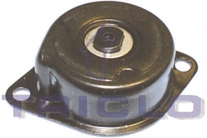 Belt Tensioner, V-ribbed belt (423961)