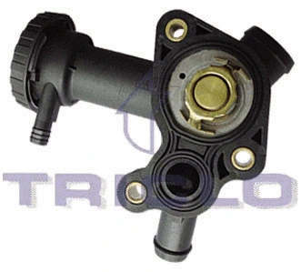 Thermostat, coolant (463316)