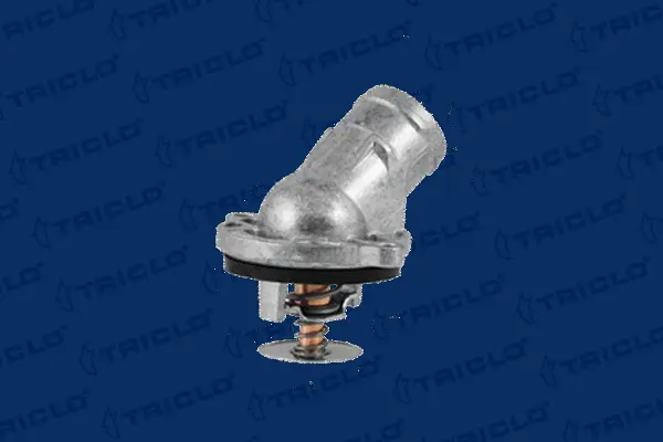 Thermostat, coolant (463386)