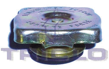 Cap, coolant tank (311005)
