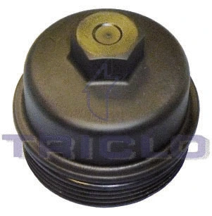 Cap, oil filter housing (318938)