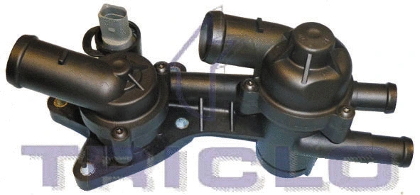 Thermostat Housing (462231)