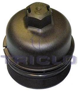 Cap, oil filter housing (311795)