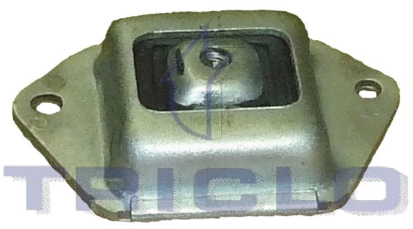 Bushing, axle beam (780257)