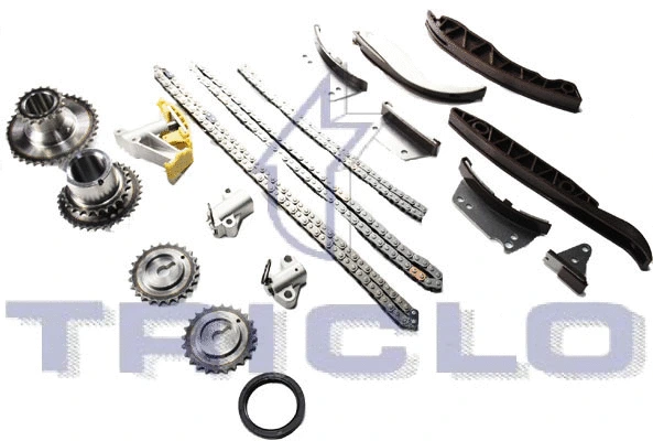Timing Chain Kit (426780)