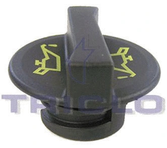 Sealing Cap, oil filler neck (318898)