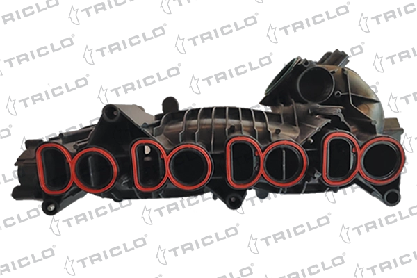 Intake Manifold Module (392994)