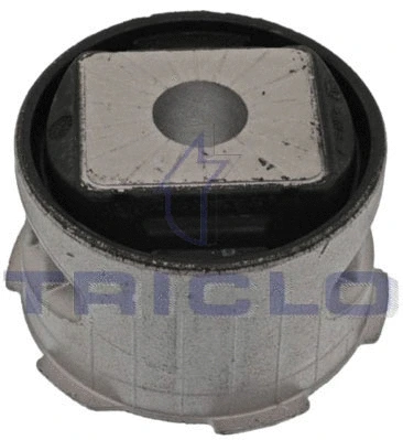 Bushing, axle beam (782103)