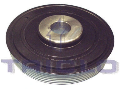 Belt Pulley, crankshaft (421209)