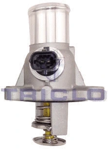 Thermostat, coolant (468377)