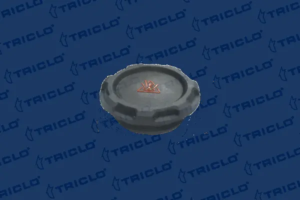 Cap, coolant tank (313328)