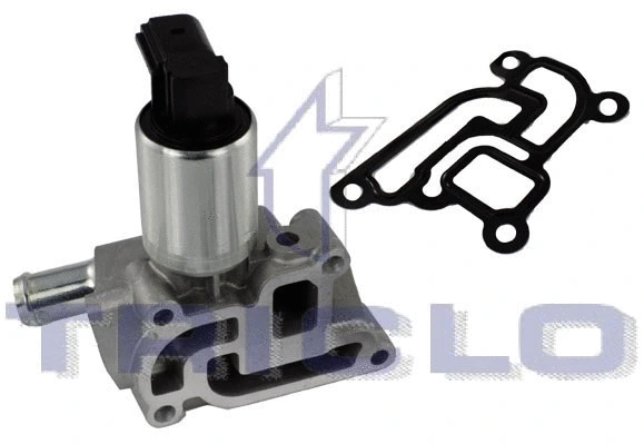 EGR Valve (347005)