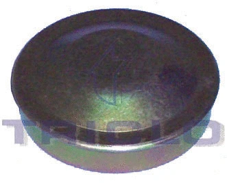 Protection Lid, wheel hub (328705)
