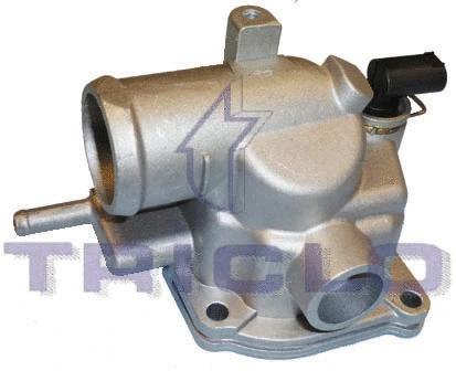 Thermostat, coolant (462408)