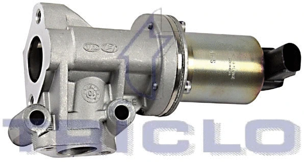 EGR Valve (346823)