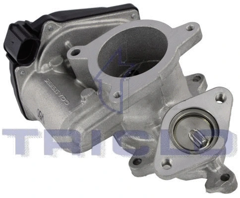 EGR Valve (342365)