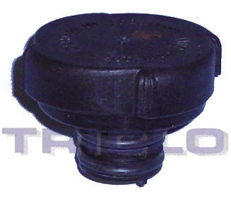 Cap, coolant tank (313413)