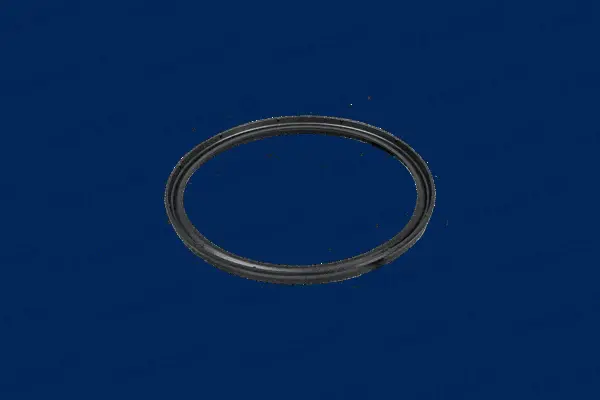 Seal Ring, charger (442146)
