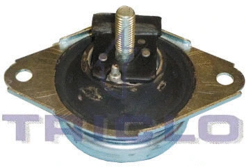 Mounting, engine (368807)