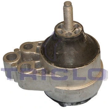 Mounting, engine (368638)
